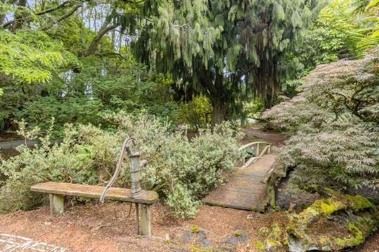 Photo of property in 488 Tapuwae Road, Maniaiti / Benneydale, Te Kuiti, 3987