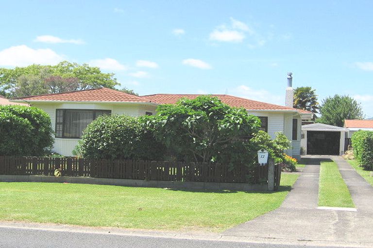 Photo of property in 12 Anzac Street, Te Kuiti, 3910