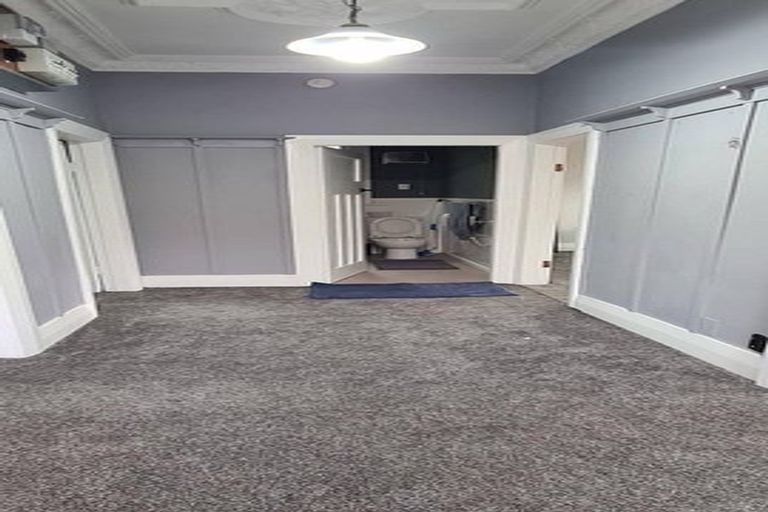 Photo of property in 519 South Road, Calton Hill, Dunedin, 9012