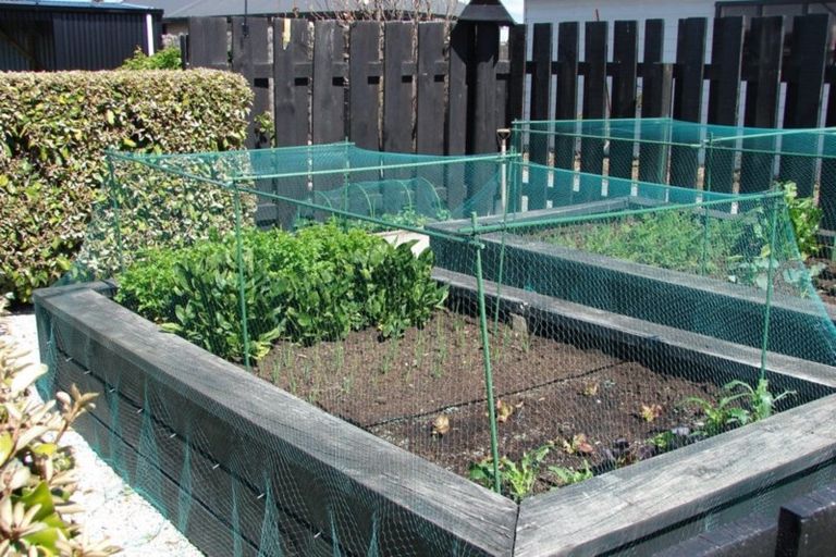 Photo of property in 10 Cornwall Street, Mossburn, 9792