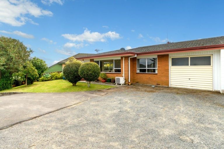 Photo of property in 137 Bellevue Road, Brookfield, Tauranga, 3110