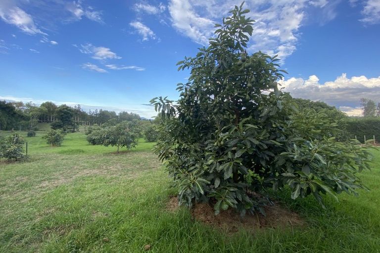 Photo of property in 109a Plummer Road, Whakamarama, Tauranga, 3179