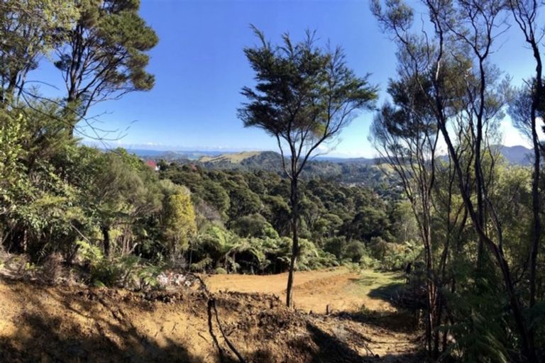 Photo of property in 850 Buffalo Road, Coromandel, 3506