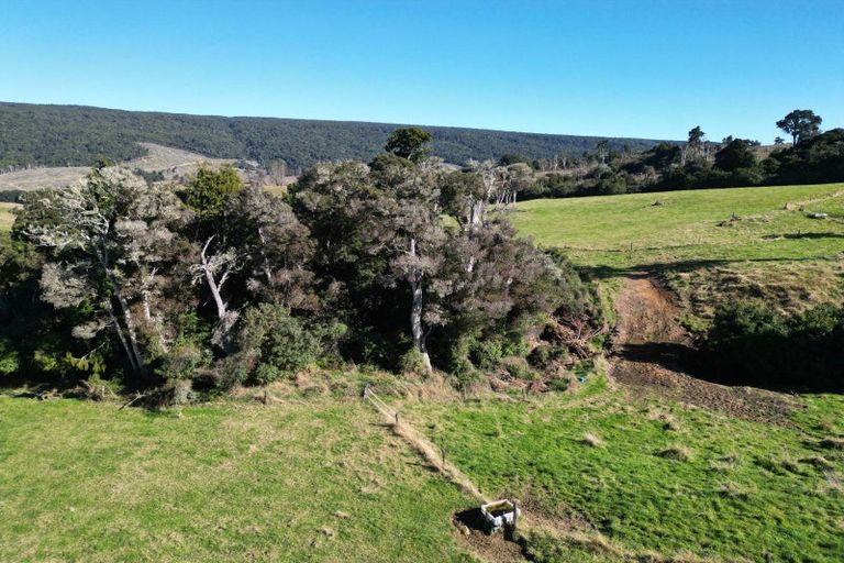 Photo of property in 1612 Tahakopa Valley Road, Tahakopa, Owaka, 9586