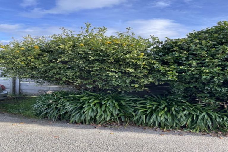 Photo of property in 15a Princeton Road, Raumati Beach, Paraparaumu, 5032