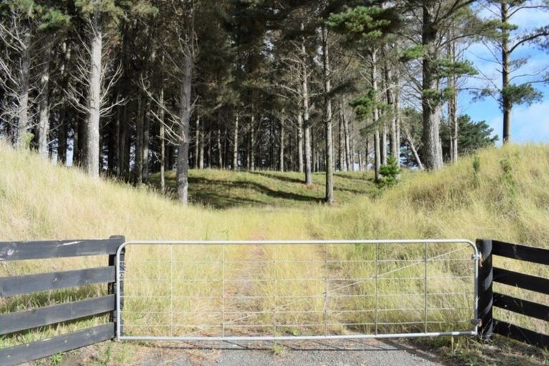 Photo of property in 101 Emma Drive, Manakau, 5573