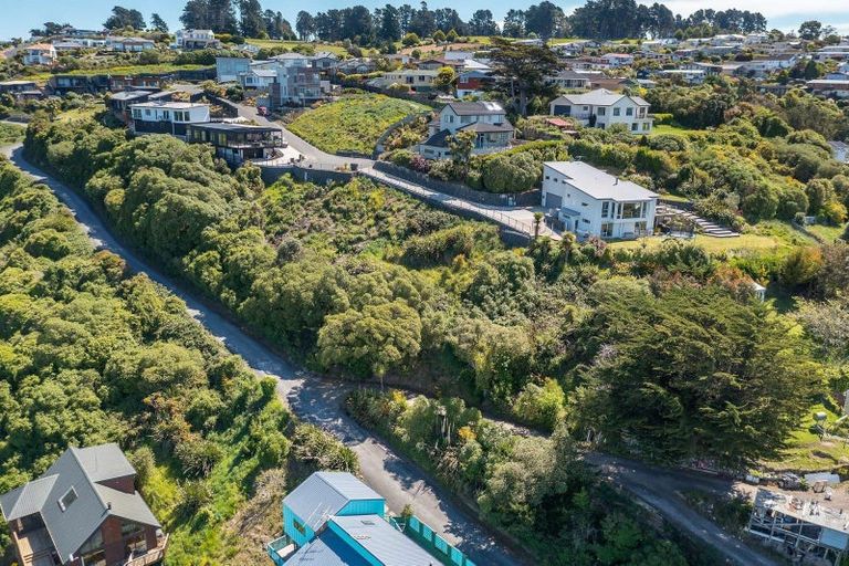 Photo of property in 2l Clayton Street, Saint Clair, Dunedin, 9012