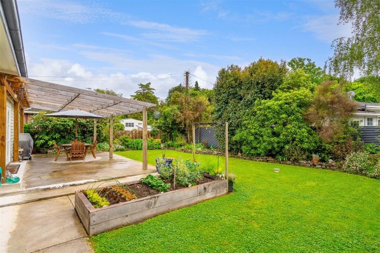 Photo of property in 6 Terrace End, Lansdowne, Masterton, 5810