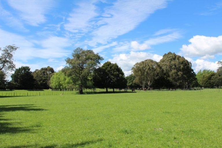 Photo of property in 347 West Bush Road, Upper Plain, Masterton, 5888