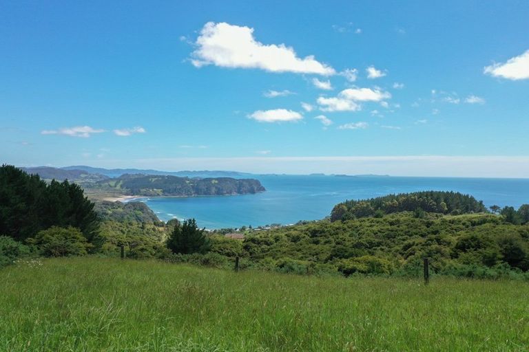 Photo of property in 425m Boat Harbour Road, Whenuakite, Whitianga, 3591
