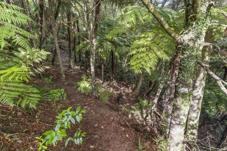 Photo of property in 104 Tender Road, Dairy Flat, Albany, 0794