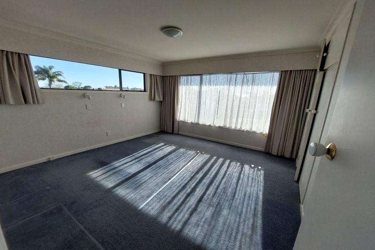 Photo of property in 19a Vine Avenue, Maungatapu, Tauranga, 3112