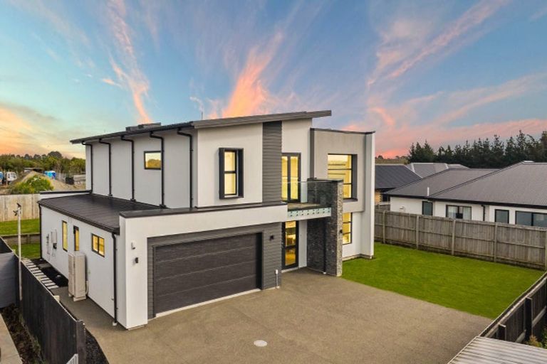 Photo of property in 29 Lotus Place, Wigram, Christchurch, 8025