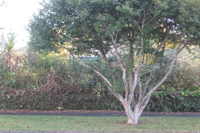 Photo of property in 113 Dey Street, Hamilton East, Hamilton, 3216