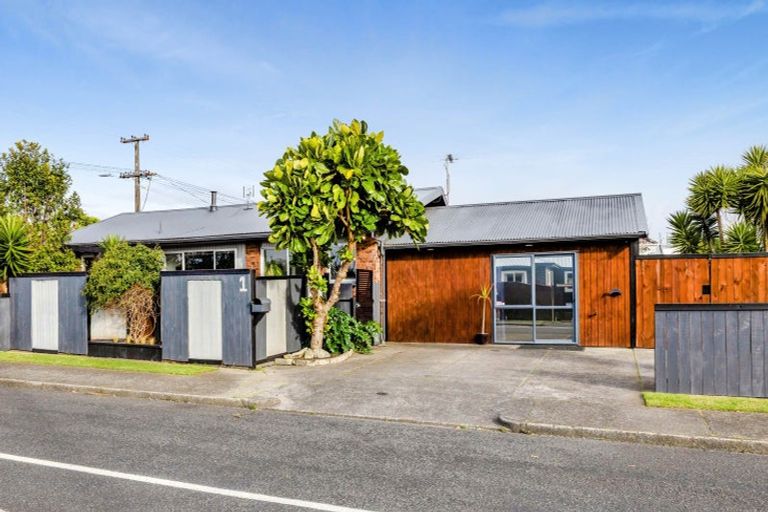 Photo of property in 1 Lynton Street, Upper Vogeltown, New Plymouth, 4310