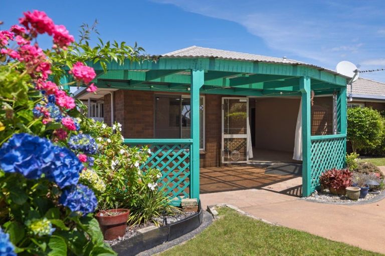 Photo of property in 8 Lotus Avenue, Mount Maunganui, 3116