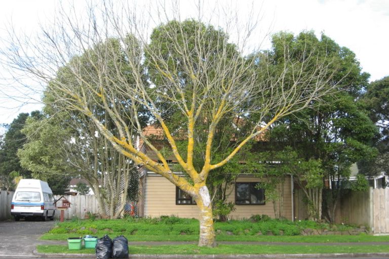 Photo of property in 112 Carnoustie Drive, Wattle Downs, Auckland, 2103