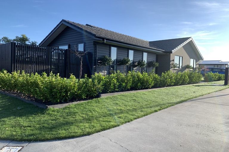 Photo of property in 24 Lulu Avenue, Chartwell, Hamilton, 3210