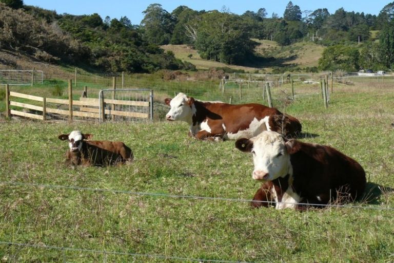 Photo of property in 37 Valley Road, Hikurangi, 0114