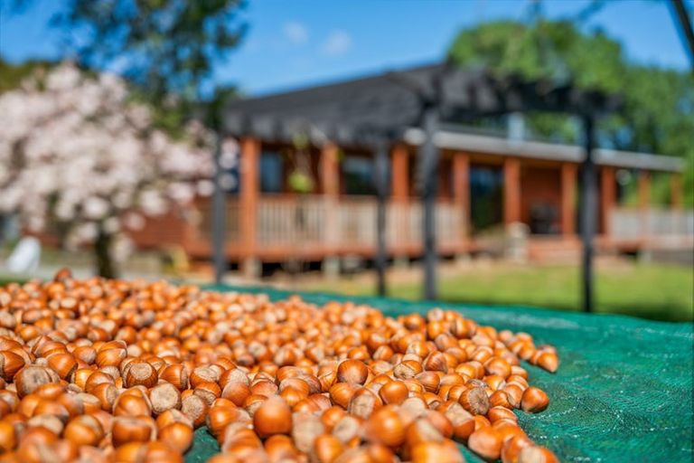 Photo of property in 191 Tyntesfield Road, Waihopai Valley, Blenheim, 7276