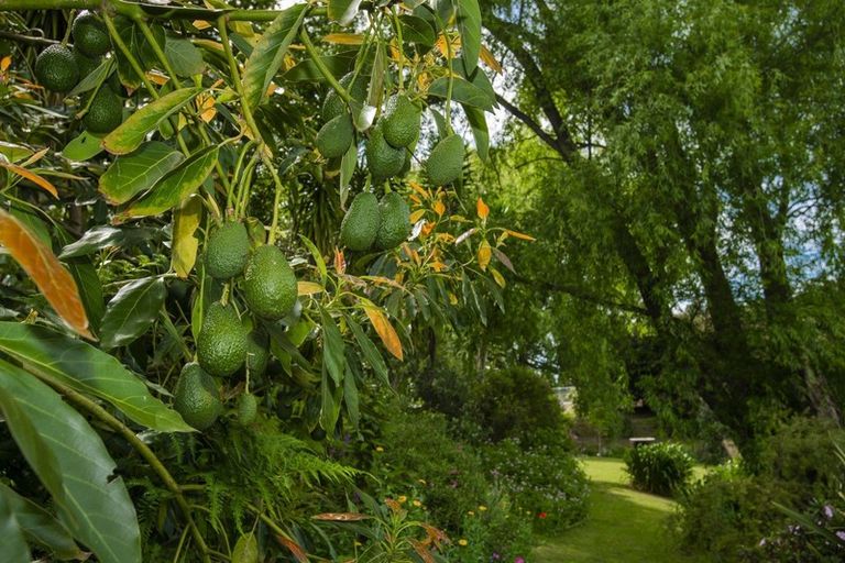 Photo of property in 70a Potae Avenue, Lytton West, Gisborne, 4010