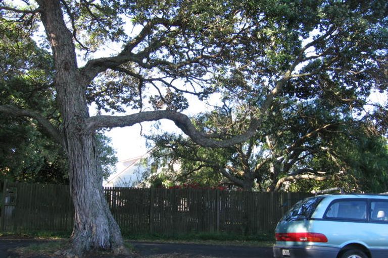 Photo of property in 12 Minnehaha Avenue, Takapuna, Auckland, 0622