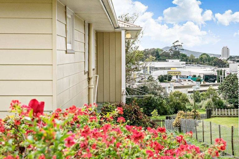 Photo of property in 45 Bruce Avenue, Glenview, Hamilton, 3206