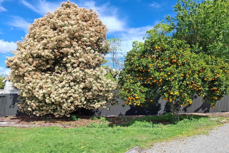 Photo of property in 14 Manuka Street, Lansdowne, Masterton, 5810