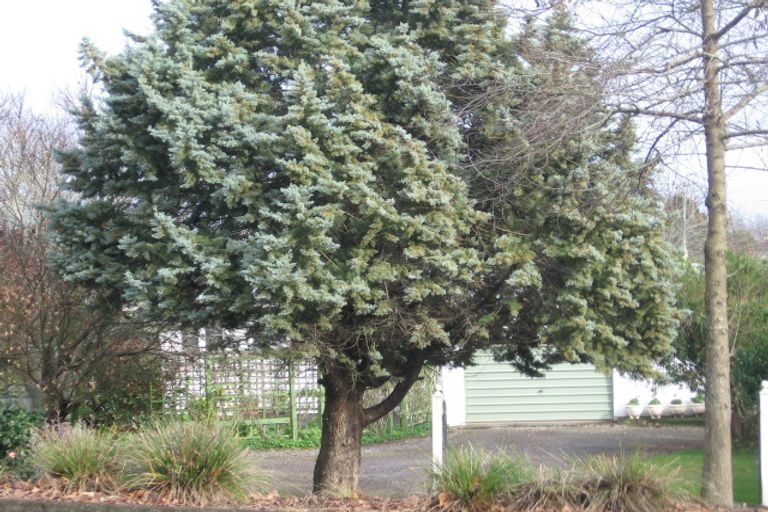 Photo of property in 803 River Road, Chartwell, Hamilton, 3210