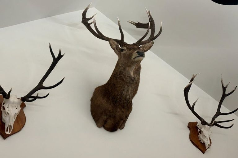 Photo of property in 2680 Double Hill Run Road, Double Hill, Methven, 7791