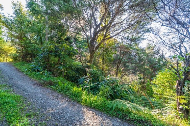 Photo of property in 19 Hayes Road, Henderson Valley, Auckland, 0612