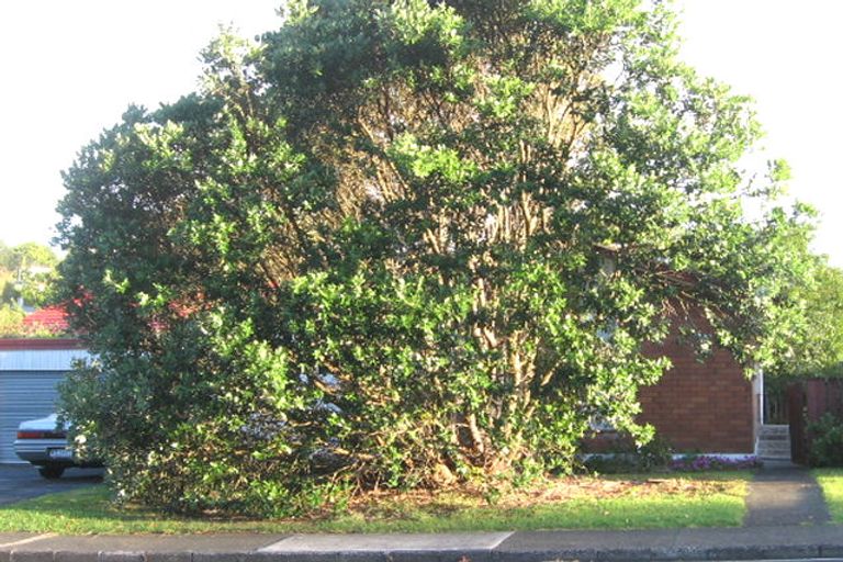 Photo of property in 1/82 Moore Street, Hillcrest, Auckland, 0627