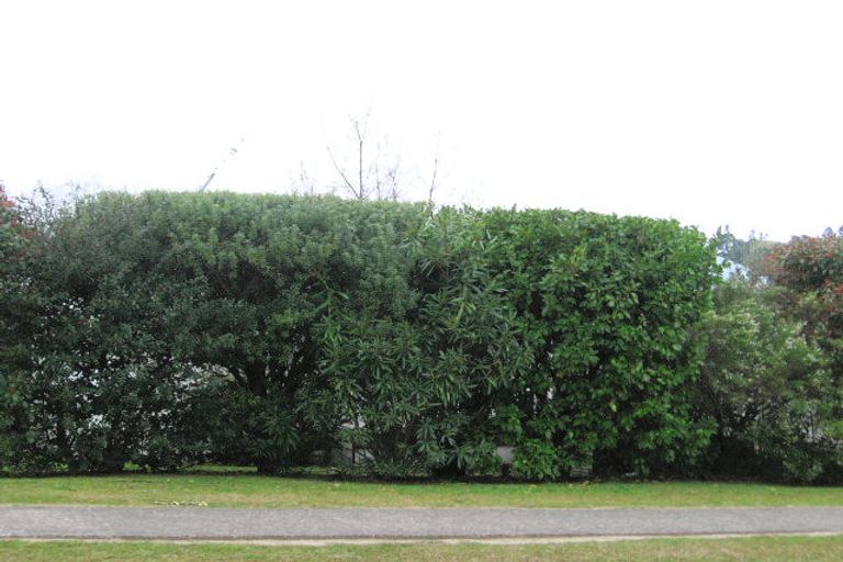 Photo of property in 47 Hahei Beach Road, Hahei, Whitianga, 3591