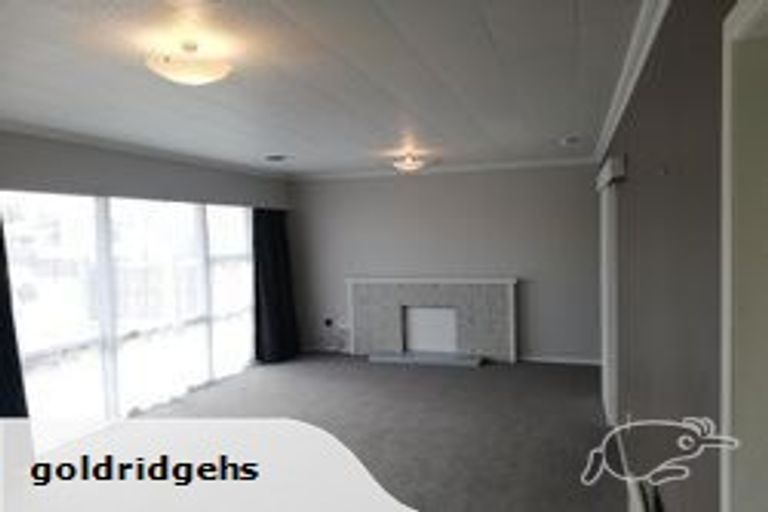 Photo of property in 19 Raymond Street, Fairview Downs, Hamilton, 3214