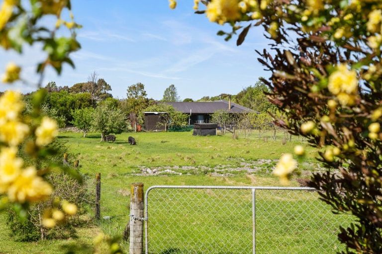 Photo of property in 19 Isobel Place, Rarangi, Blenheim, 7273