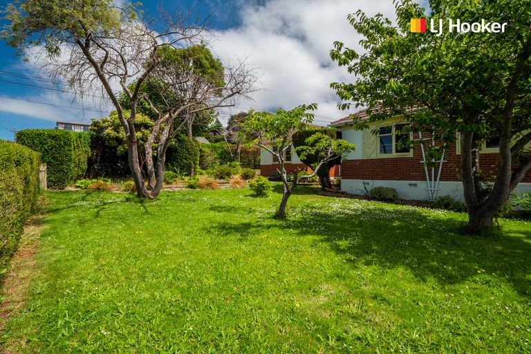 Photo of property in 29 Chapman Street, Wakari, Dunedin, 9010