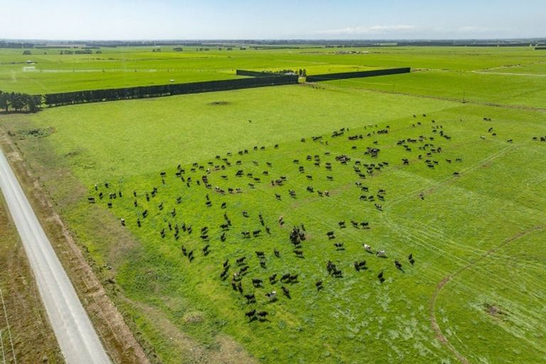 Photo of property in 282 Sharlands Road, Dunsandel, Rakaia, 7783