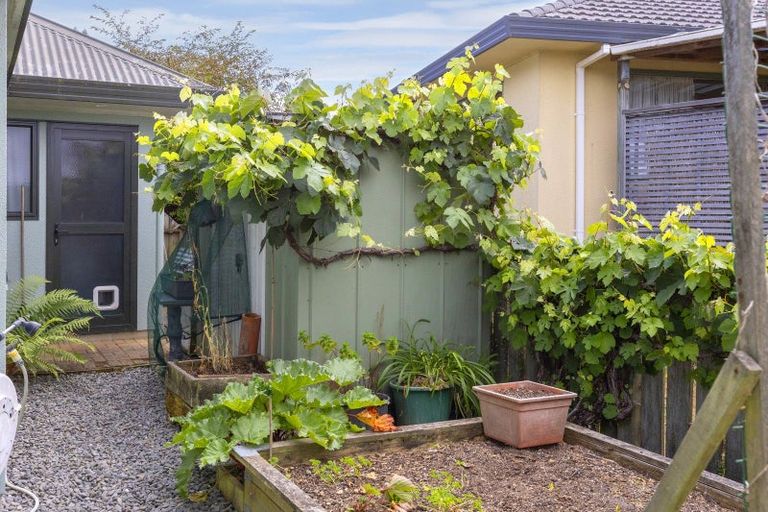 Photo of property in 57 Kiddle Drive, Hilltop, Taupo, 3330