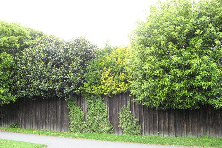 Photo of property in 220 Clyde Road, Burnside, Christchurch, 8053