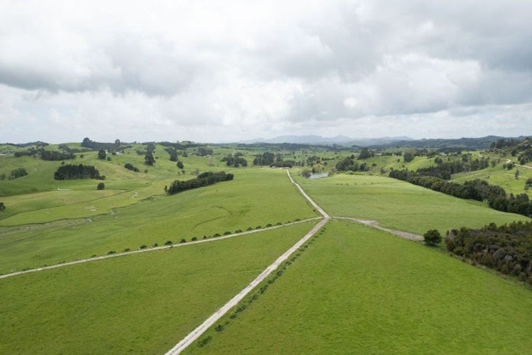 Photo of property in 139 Poyner Road, Ararua, Matakohe, 0594