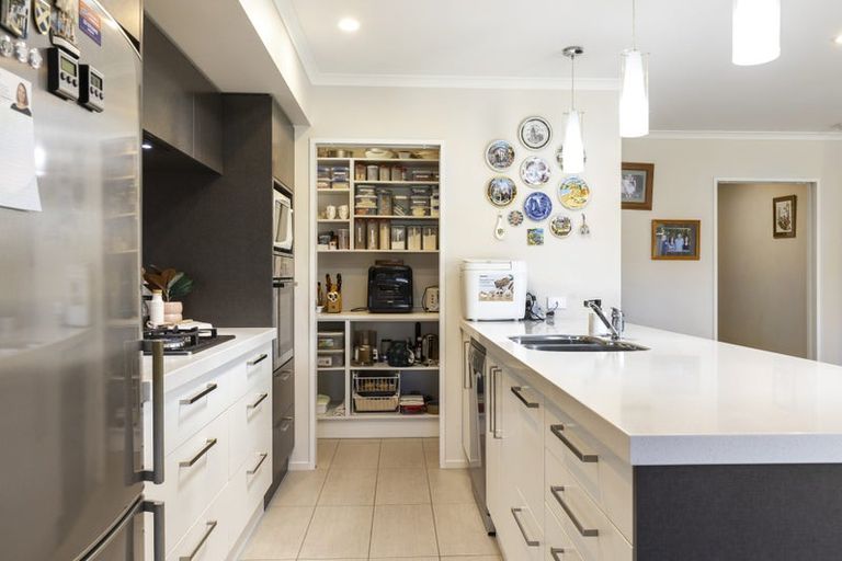 Photo of property in 223 Taylor Pass Road, Witherlea, Blenheim, 7201