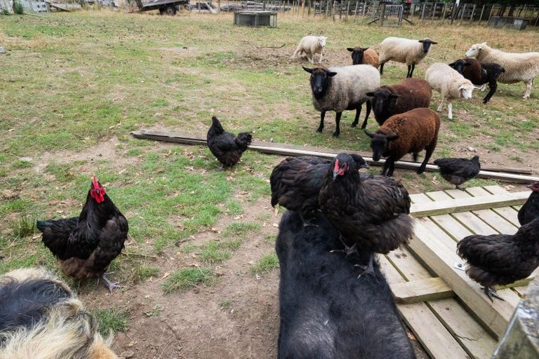 Photo of property in 42 Flux Road, Mangaroa, Upper Hutt, 5371