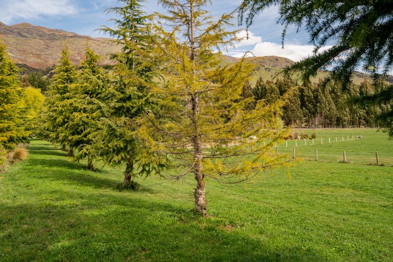 Photo of property in 930 Mount Barker Road, Wanaka, 9382