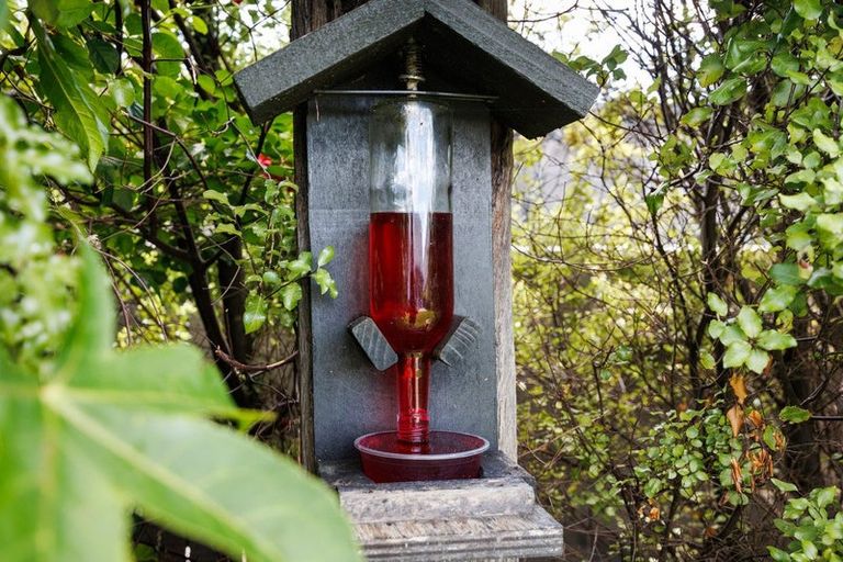 Photo of property in 49 Rodeo Drive, Kelvin Grove, Palmerston North, 4414