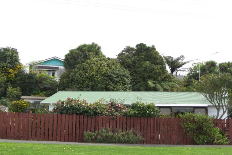Photo of property in 61 Grey Street, Waitara, 4320