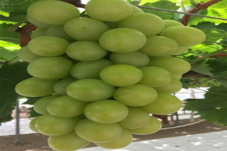 Photo of property in 392 Ngarua Road, Waitoa, 3380