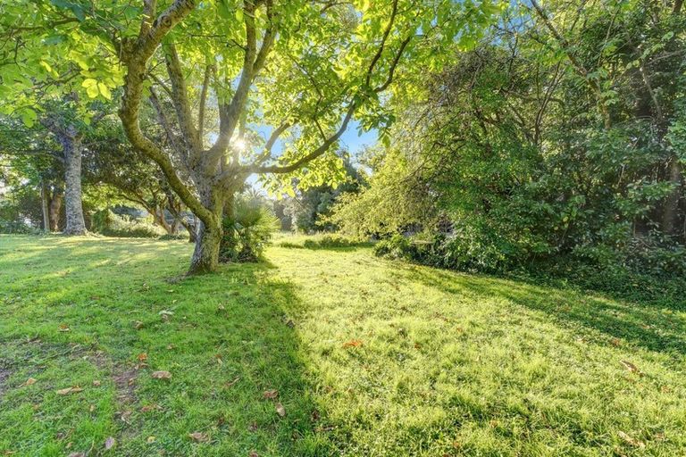 Photo of property in 155 Nile Street, Nelson, 7010