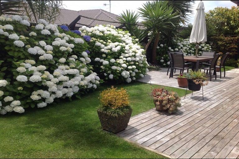 Photo of property in 18 Merlin Close, Huntington, Hamilton, 3210