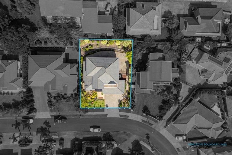 Photo of property in 15 Tumbridge Place, Somerville, Auckland, 2014