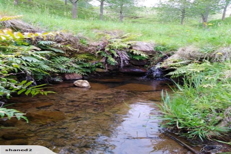 Photo of property in 225 Ngatitangata Road, Waihi, 3681